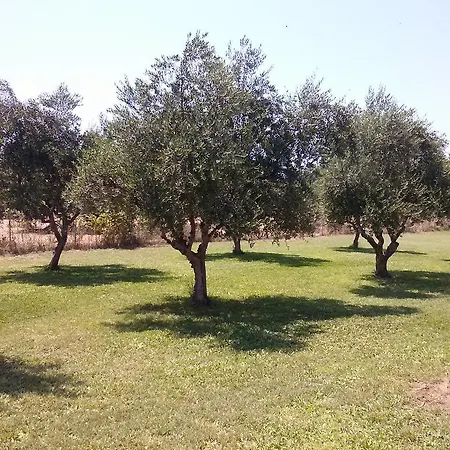 Katerina Almyros * Paralía Almirú